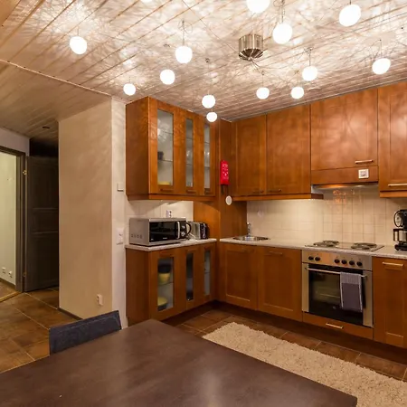 Karhunvartija 8 Visit 아파트 레비